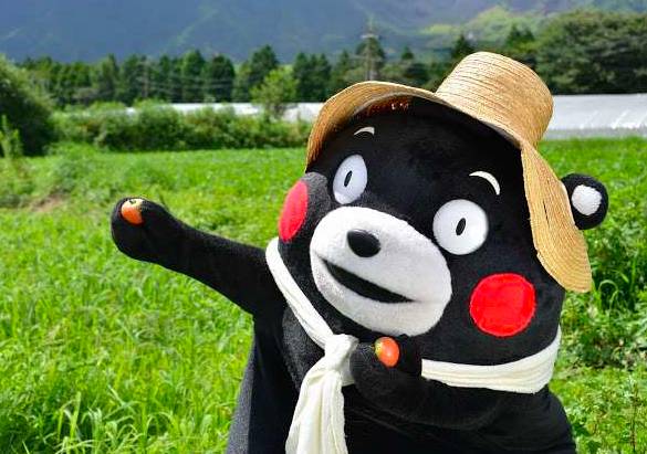 baoxian0 baoxian